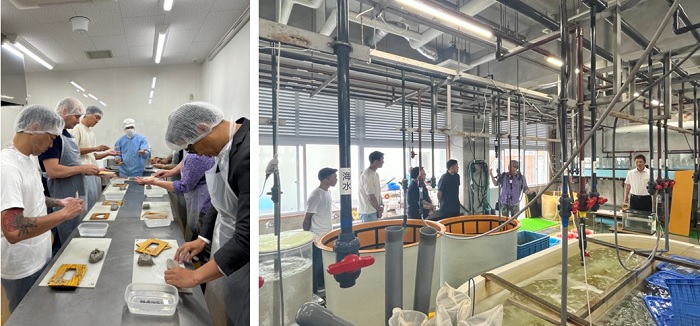 写真　シェフらがじゃこ天づくり（左写真）と養殖場を見学（右写真）（ジェトロ撮影）