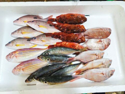 写真　ヤマナカマートが日本から輸入した日本各地の鮮魚の詰め合わせ（「ろっけん」提供）