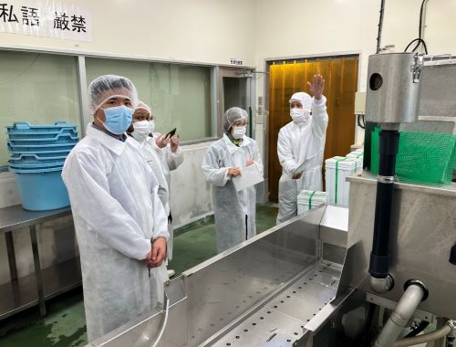 写真　もずく加工場を視察（ジェトロ撮影）