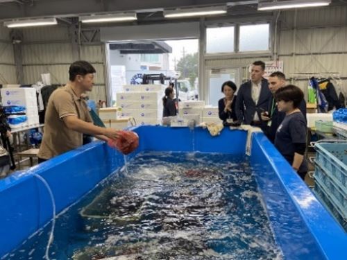 写真　海外バイヤーによる視察（ジェトロ撮影）