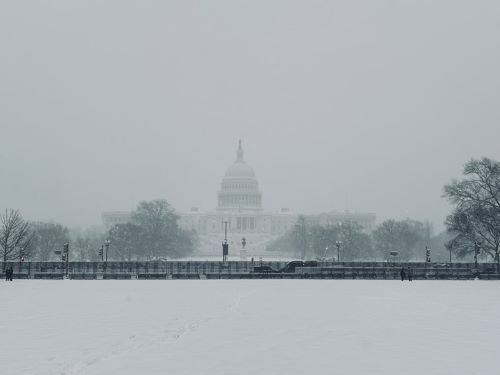 写真　2025年1月6日、雪の連邦議会議事堂（ジェトロ撮影）