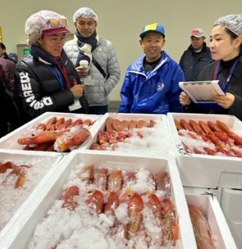 写真　長崎魚市場の視察（ジェトロ撮影）