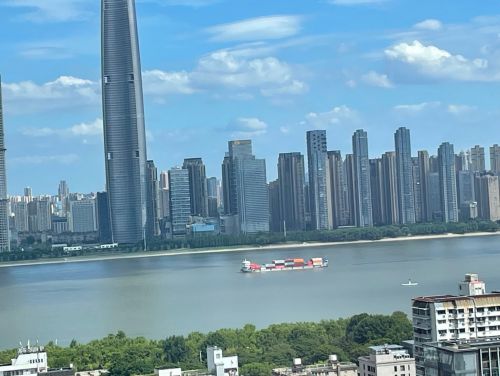 写真　武漢市付近の長江を航行するコンテナ船（ジェトロ撮影）
