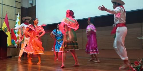 写真　各地の舞踊も披露された（ジェトロ撮影）