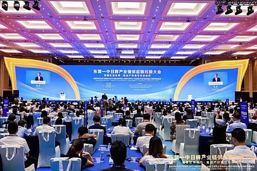 写真　ASEAN・日中韓産業チェーン・サプライチェーンの商談会（主催者提供）