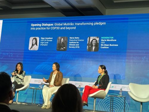 写真　オープニングパネルに登壇するニガル・アルパダライ氏（左）（ジェトロ撮影）