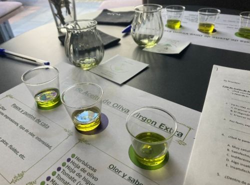写真　エキストラバージンオリーブオイルのテイスティングの様子（ジェトロ撮影）