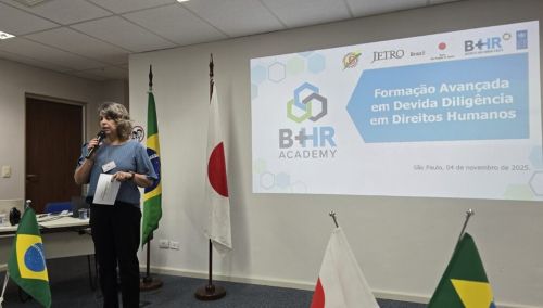 写真　研修会で説明するUNDPブラジル事務所のロザナ・トマジニ氏（ジェトロ撮影）