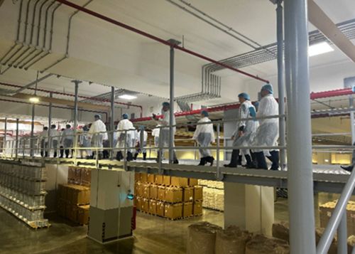 写真　NFPCを視察（ジェトロ撮影）