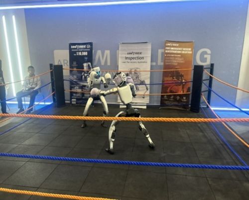 写真　二足歩行ロボットがボクシングをする様子（ジェトロ撮影）