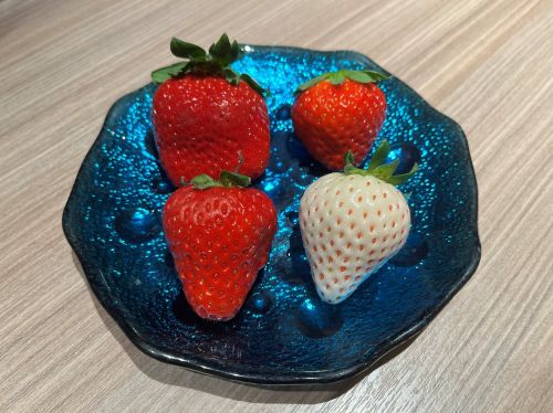 写真　4種類のイチゴの食べ比べ（ジェトロ撮影）
