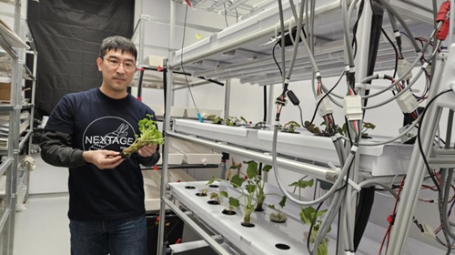 写真　DCU：Innovate内施設に設置された実証ワサビ棚（ジェトロ撮影）