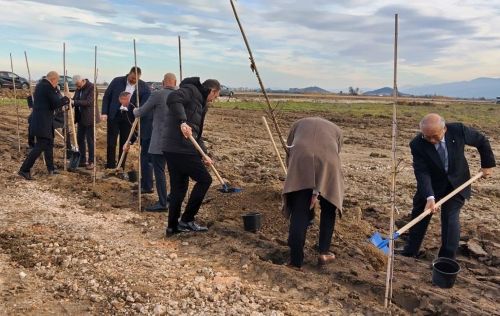 写真　桜を植樹する様子（ジェトロ撮影）