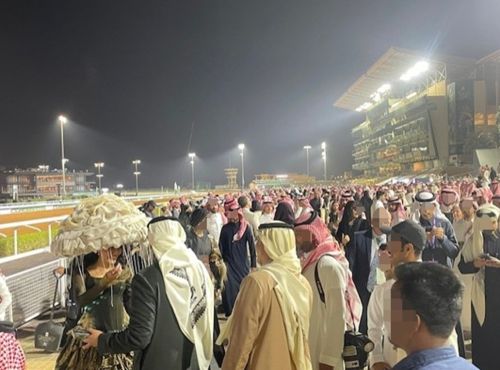 写真　サウジカップ会場の様子（ジェトロ撮影）