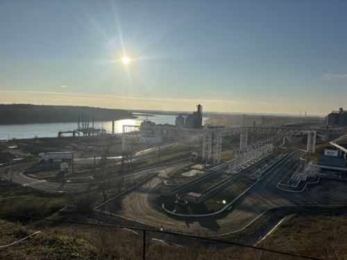 写真　ドナウ川とジュルジュレシュティ港（ジェトロ撮影）