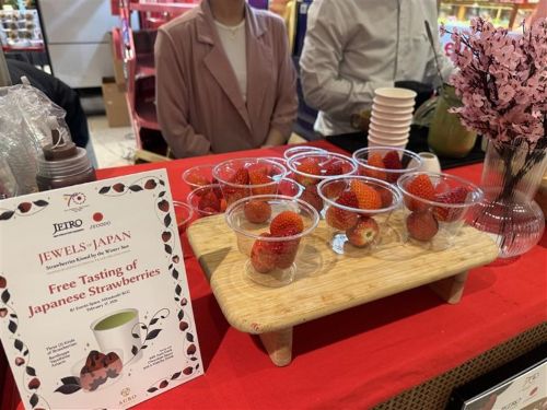 写真　試食イベントで提供したイチゴ3種（ジェトロ撮影）