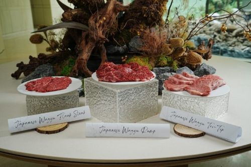 写真　和牛のセカンダリーカットの紹介（ジェトロ撮影）