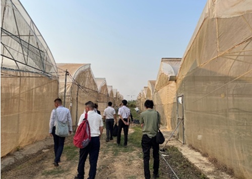 写真　農園視察の様子（ジェトロ撮影）