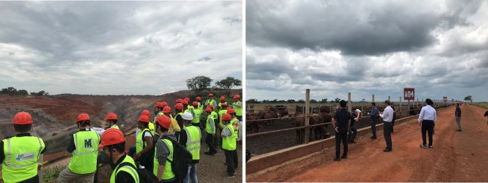 写真　キミン鉱山（左）、ゴー・コンゴの農場（右）（ともにジェトロ撮影）