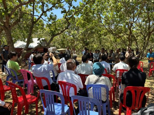 写真　カシューナッツ農場視察の様子（ジェトロ撮影）