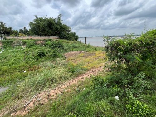 写真　メコン川本流から分岐しバサック川へと向かう運河の建設予定地（ジェトロ撮影）