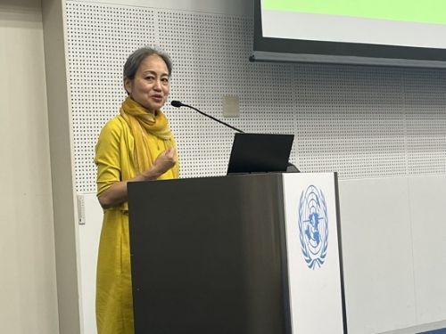 写真　開会あいさつを行うUNDP野田氏（ジェトロ撮影）